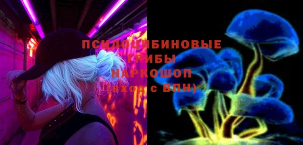 скорость Бородино