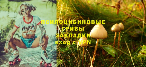 скорость Бородино