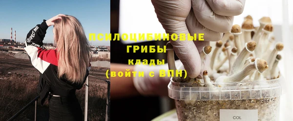 скорость Бородино